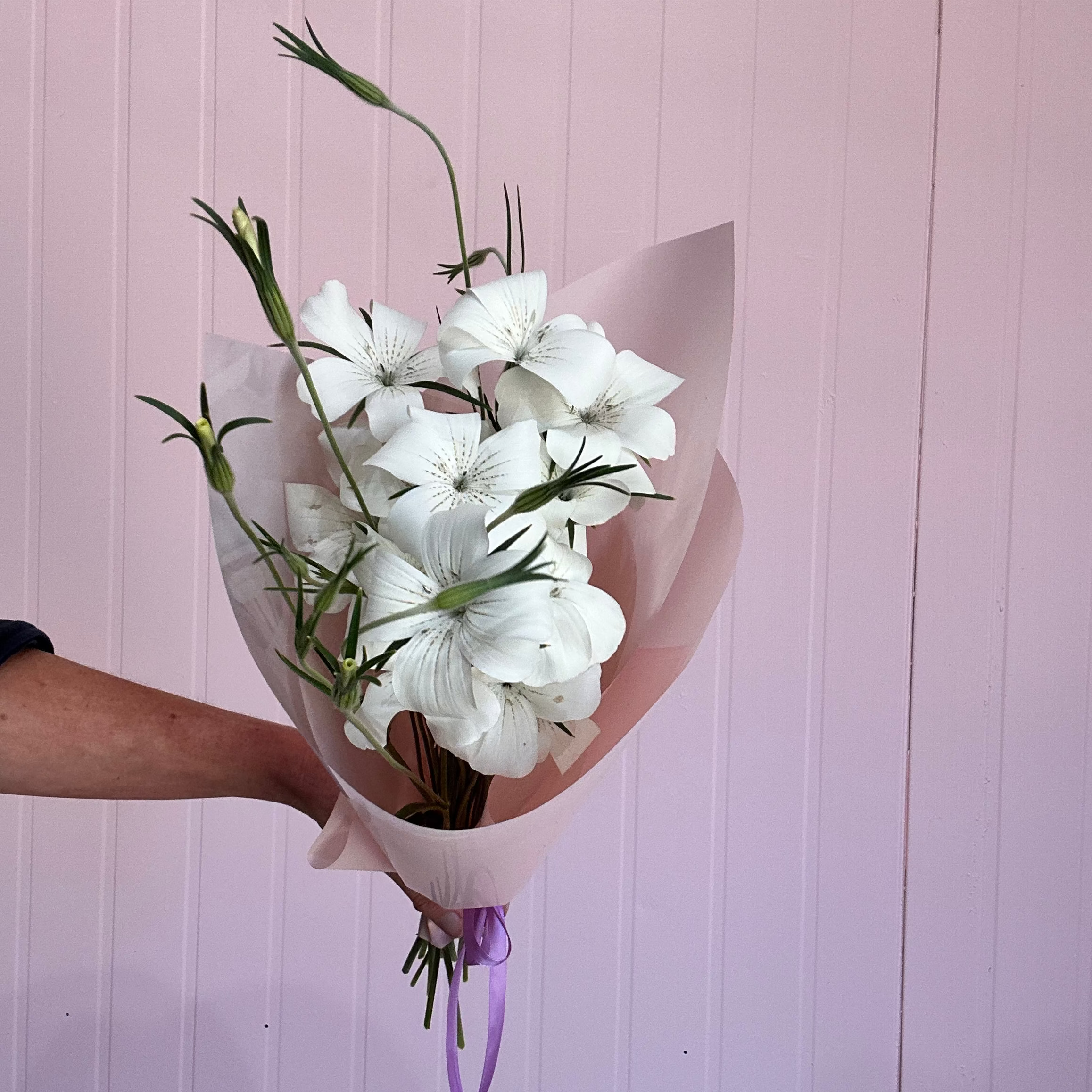Bouquet of white flowers with a purple ribbon against a light pink background