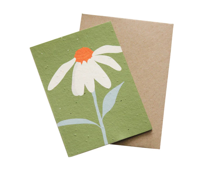 A greeting card with a floral design featuring a daisy, made from recycled paper with a blank interior and an envelope.